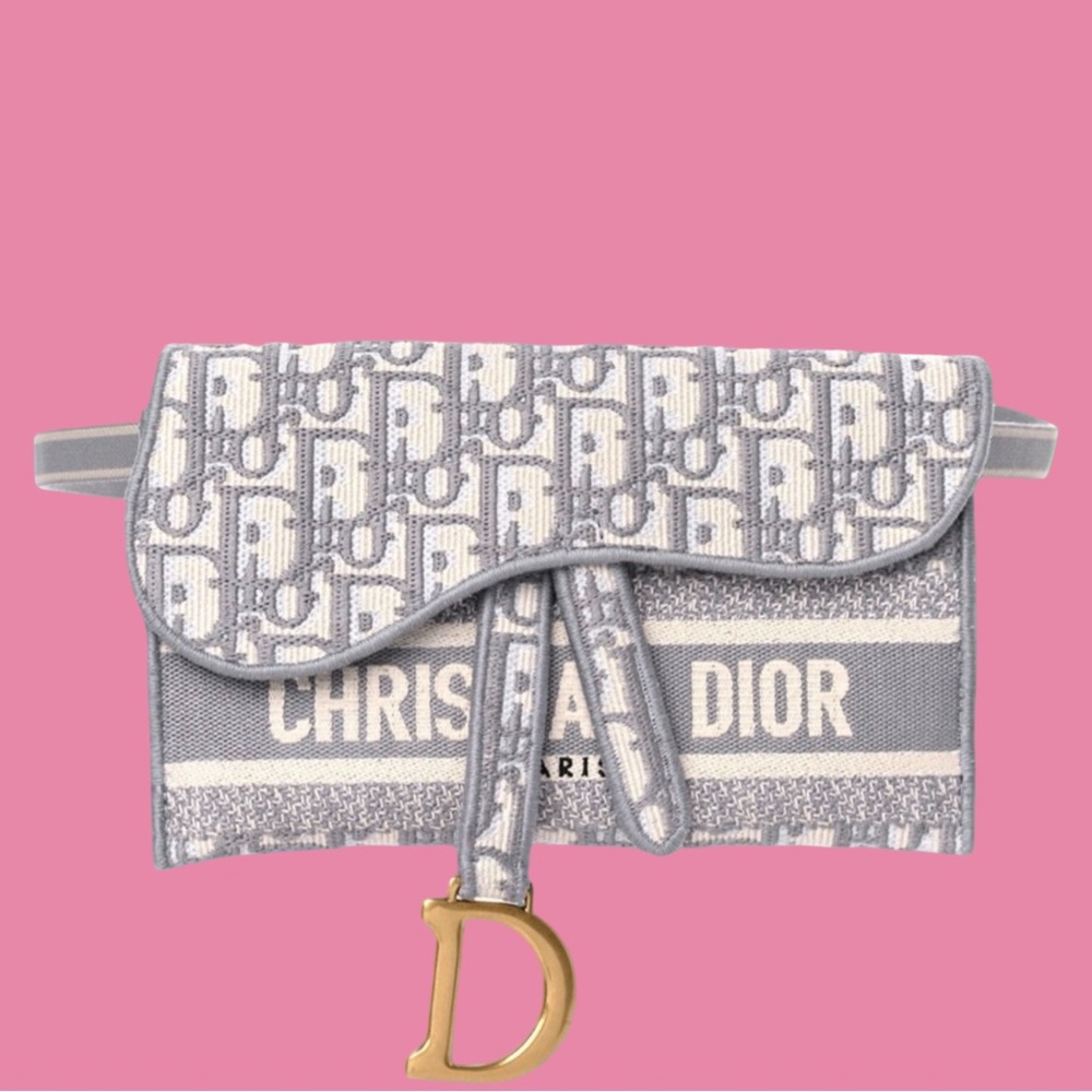 Christian Dior Saddle Slim Belt Bag Oblique Grey - Picture 1 of 13